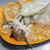 . [바다의행복] 국내산 반건조 갑오징어 (대) 1팩