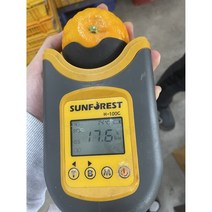 탐라인 신품종 설국향 수라향 신비향 가정용 3kg, 1box