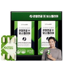 [본사 기획세트] 프롬바이오 이병헌의 관절연골엔 보스웰리아 개별인정형 비타민D 마그네슘 망간 아연 1일 섭취량 100%, 850mg, 2박스, 1개월, 30정