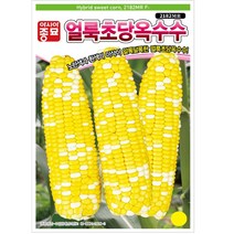 아시아종묘 얼룩초당 옥수수 씨앗 종자, 100개