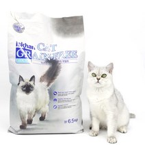 이즈칸 캣 어덜트 그레인프리 고양이 사료, 6.5kg, 2개