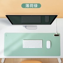 마우스 키보드 플래시 난방 가열 장패드 따듯한 온열 히팅 데스크테리어 미끄럼방지 충전식, 단일사이즈, 민트그린 ★80x33cm
