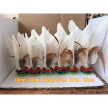 LLD 제기차기 콕, 화이트17CM한박스60개작은털포함