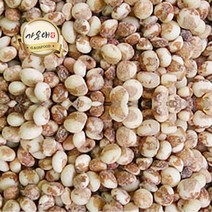 [가온애] 잡곡 잡곡류 / 찰수수, 1봉, 500g