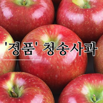 [청송사과] 정품사과 산지에서~ 믿고먹는 소미네사과, 1개, 01.정품사과 5kg 소과 (18과~21과내외)