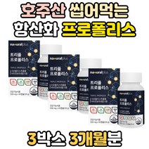 호주 호주산 씹어먹는 프로폴리스 밀납 환절기 면역력 높이는 방법 아연 셀렌 셀레늄 효능 효과 PROPOLIS 그린 초록 레드 환절기 항산화제 항산화 식품 강화 식물성 캡슐 구강
