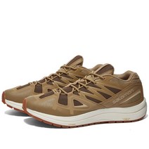 Salomon 살로몬 운동화 Odyssey 1 고급 - 다시마 사막 및 얼음