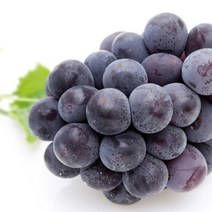 FUNET 샤인머스켓 청포도 블랙사파이어 거봉, 1박스, 52_블랙아도라포도 1kg