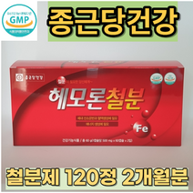 철분제 빈혈 복용 헤모글로빈 빈혈에 좋은 영양제 여성 어지러움 2개월분 학생 임산부 임신중기 초기, 2개월분(120정)_사은품패치, 2개, 120정