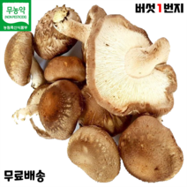 표고버섯2kg 최저가로 저렴한 상품 중 판매순위 상위 제품 추천