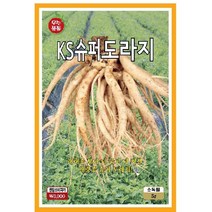 씨앗 KS 슈퍼도라지 500g, 1개