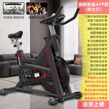 스핀 바이크 사이클 자전거 헬스 다이어트 운동 기구, V10기질빨강무극저항x3D대전x운동데이터x