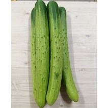 (우주농원)아삭 아삭한 싱싱한오이 오이, 3개입, 500g