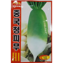 풍산종 중국청피무 씨앗(25g) 2봉 (A0244)