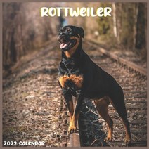 (영문도서) Rottweiler 2022 Calendar: Official Rottweiler Dog breed Calendar 2022 16 Months Paperback, Independently Published, English, 9798746019523