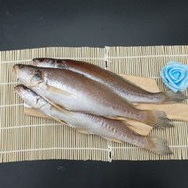 선우수산 반건조생선 제수용 민어조기3마리 900g, 3마리