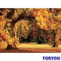 ForU703 조각 사진풍경 직소퍼즐 가을 단풍 1000개 퍼즐 피스 풍경퍼즐 풍경화퍼즐, 상세페이지 참조