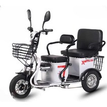 삼륜전기자전거 동반 3륜 배달 여성 애견, 상세 페이지 참고, 리튬배터리48V12A배터리(수명40마일)