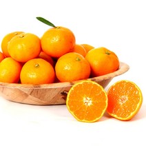 [올레돌밭농원] 23년 제주직송 햇 하우스감귤 1.5kg 2.5kg 4.5kg 가정용, 1.5Kg (소과), 1개