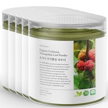 닥터비옴 유기농 100% 꾸지뽕 가루 100g x 5개, 1세트 (5개입)
