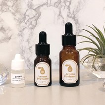 앤셜리 석고방향제 프리미엄19 리필오일 10ml(스포이드형), 레드프롯