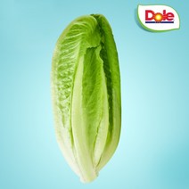 Dole 본사직영 통로메인1.5kg/알뜰형로메인 1kg 택1, 알뜰형로메인1kg, 1개