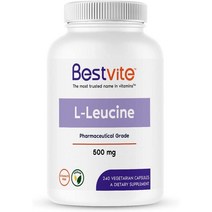 미국직구 베스트바이트 L 류신 타블렛 500mg 240정 Bestvite L Leucine 사은품추가증정
