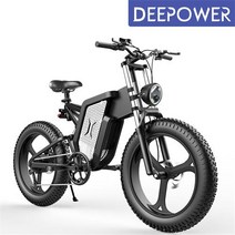 2023년 DEEPOWER 전기자전거 2000W 48V 25Ah MTB 산악전기자전거, 블랙 + 실버