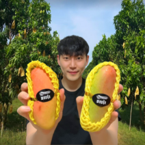 탐란다 태국 마하차녹 무지개 망고 레인보우 생 망고 2kg 4kg, 4kg 12과수내외