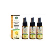 JNC 프로폴리스 스프레이30mg 3개세트 오리진에이, JNC 프로폴리스 스프레이30mg 3
