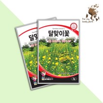 달맞이꽃 2g 세계종묘 화훼류 씨앗