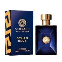 향수공병+베르사체 뿌르옴므 딜런블루 EDT 100ml 테스터, 단품