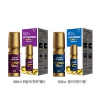 현대오일뱅크 엑스티어알파 연료첨가제 전문가용 디젤/가솔린(택1) 500ml, 선택1)디젤(전문가용)