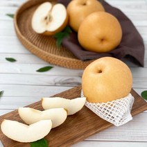 당도가 일품인 국산 나주배 신고배 15kg 5kg 가정용, 1box, 나주배 5kg 가정용 (9과내)