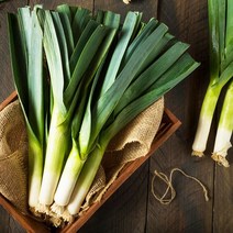 서양대파 릭 leeks 약400g 벨기에
