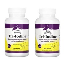 테리 내추럴리 요오드 미네랄 영양제 12.5mg 요오드화 칼륨 나트륨 180캡슐 2통