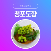 [한솔식품원료] 청포도향 (Greengrape Flavor) (액상 Type) [30g/50g/100g/1kg/5kg/10kg], 1kg