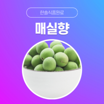 [한솔식품원료] 매실향 (Plum Flavor) (액상 Type) [30g/50g/100g/1kg/5kg/10kg], 100g