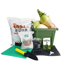 초보 농부 무 키우기 김장 재배세트 실내 베란다 텃밭 키친 미니텃밭세트 알타리무 시래기무 열무