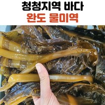 완도 명품 물미역 1kg