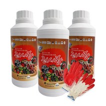 진시황 500ml x 3병 규산황 수용성 규산염 액상비료 고추탄저병 냉해 당도 향상 오이 노균병 예방 영양 토양살균