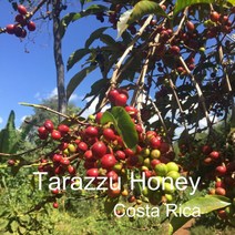 [위트러스트] 코스타리카 따라수허니 200g Costa Rica 스페셜티 커피, 커피메이커