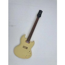 입문용일렉기타 일렉기타 장범준기타 diy(신규 아님) p90 픽업용 정품 정의