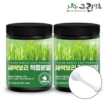 새싹보리 착즙분말 450g+450g+계량스푼1p 세트, 450g, 2개