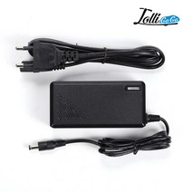롤리고고 LGO-C250Pro 29.4v 2A 충전기