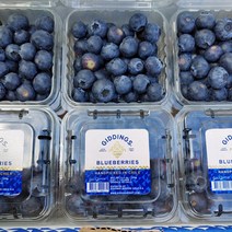 칠레산 생 블루베리, 블루베리 500g (125g X 4팩)