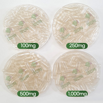 코인텍 식물성250mg 투명 공캡슐500개, 500개입, 250mg