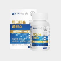 마그네슘 플러스 영양제 90정 1박스 마그비맥스 액티브 감마 마그네슘 효능