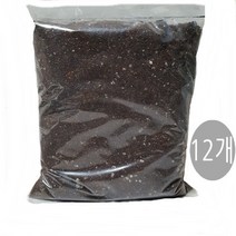 트리앤 1+1 스파트필름/ 호야 테이블야자 고무나무 행운목 스킨답서스 아이비 천냥금 파키라 율마 금전수 나도풍란 리사호야 금전수 보석금전수 문샤인 스투키 토분 공기정화식물, 34.  (12ea) 상토흙(1L) 1개