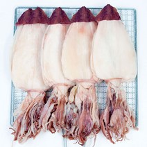 더줌 AAA등급 특 대(LLL)사이즈 최상급 한치 250g ~ 1kg, 한치5미(250g), 1개